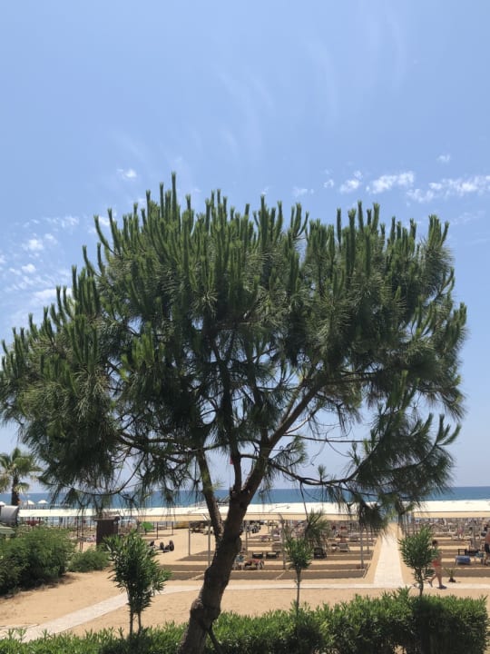 Ausblick Sunis Kumköy Beach Resort Hotel & Spa