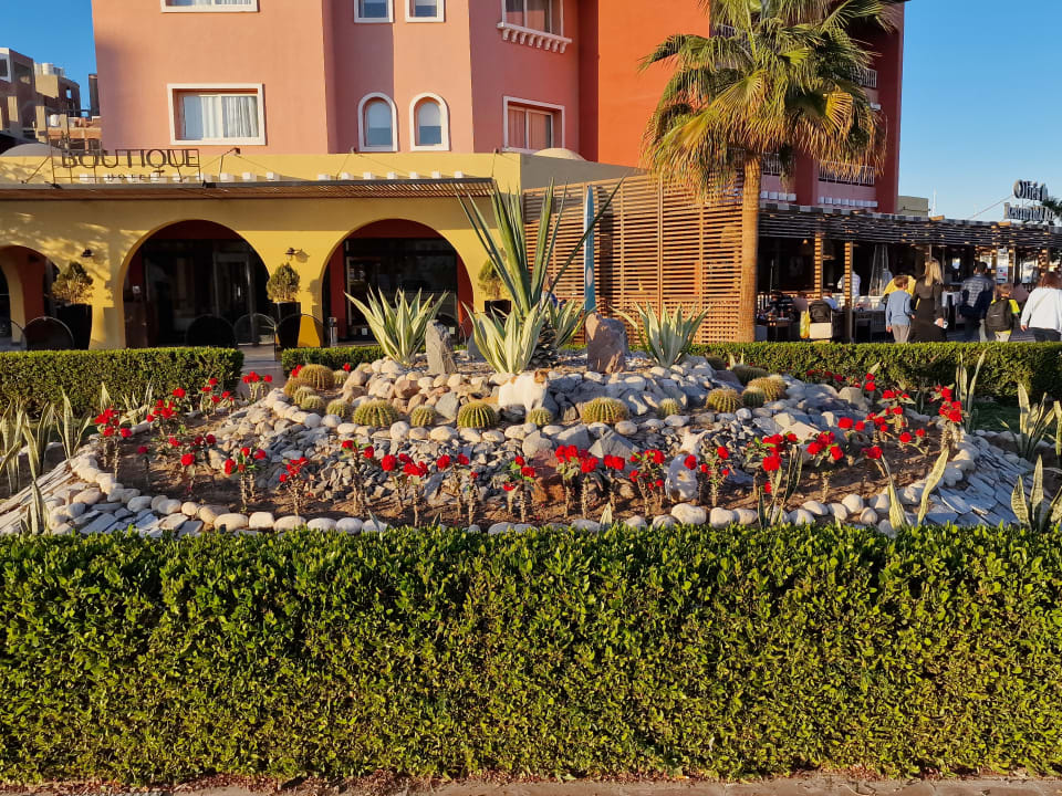 Gartenanlage Arabella Azur Resort