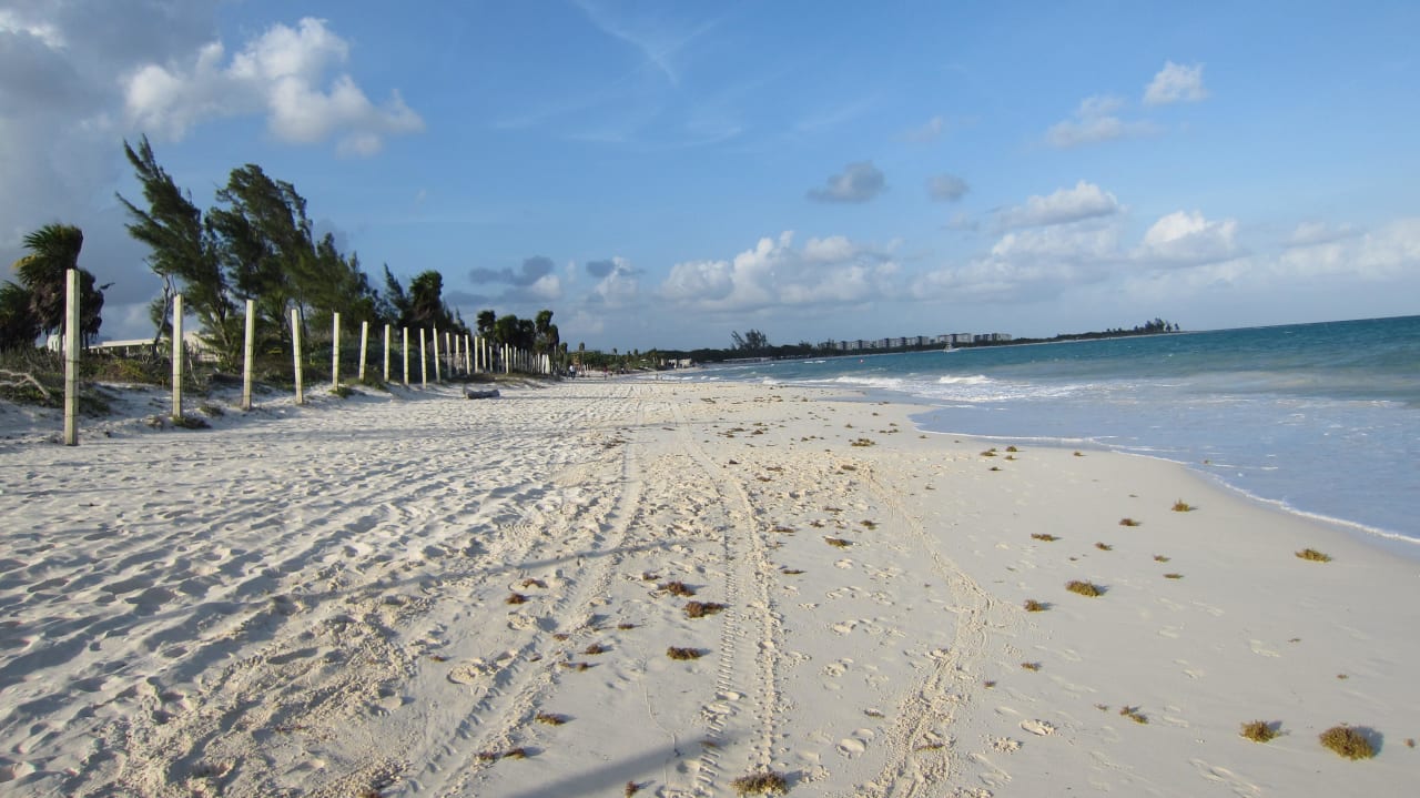 Strand zwischen Hotel und 5th Avenue Paradisus Playa del Carmen - Riviera Maya