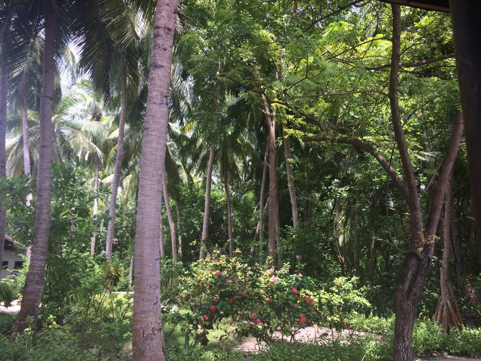 Außenansicht NH Collection Maldives Reethi Resort