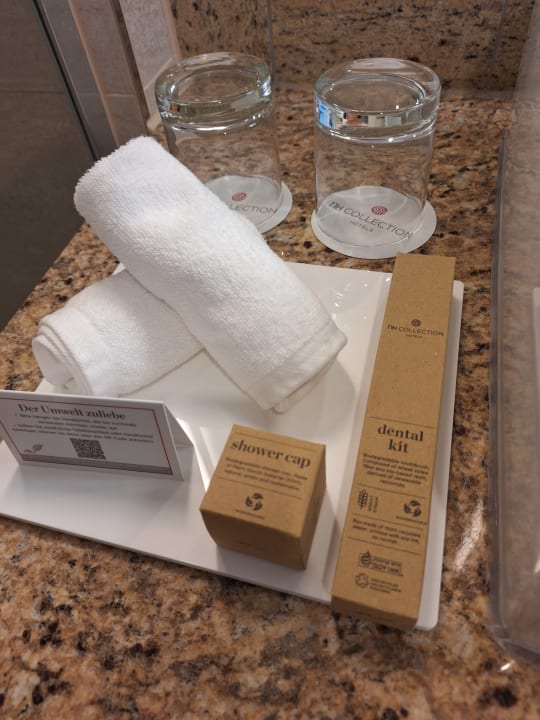 Zimmer Hotel NH Collection Heidelberg