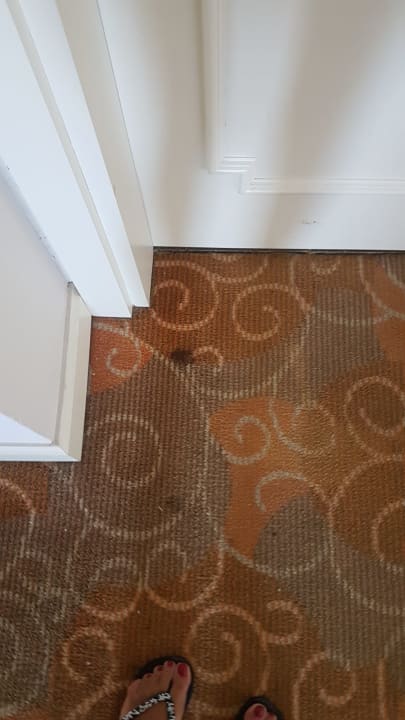 Zimmer Well Palace Side