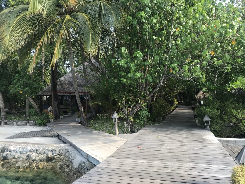 Gartenanlage Gangehi Island Resort