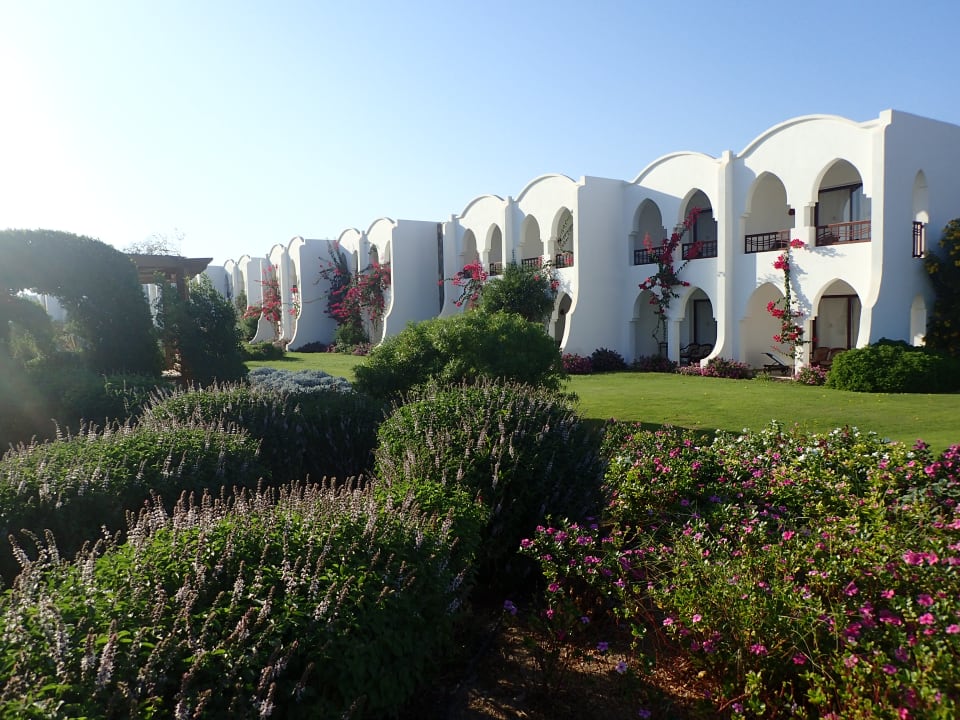 Außenansicht Hotel Gorgonia Beach Resort