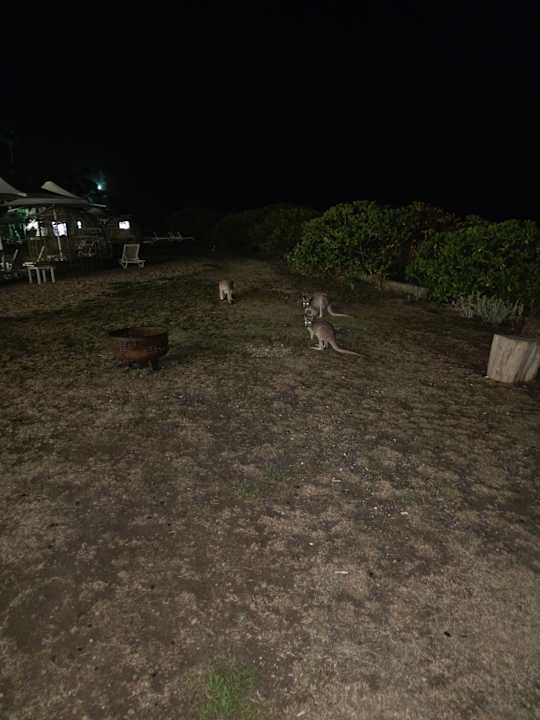 Gartenanlage Daydream Island Resort and Spa