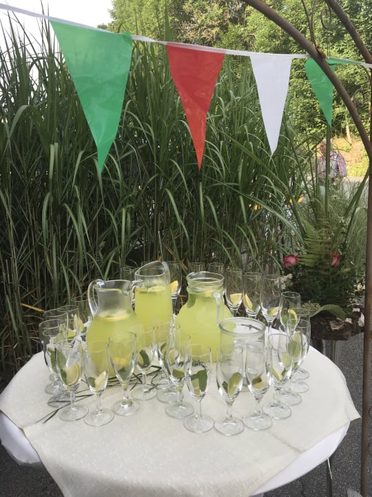 Sonstiges Landhotel Zum Singenden Musikantenwirt