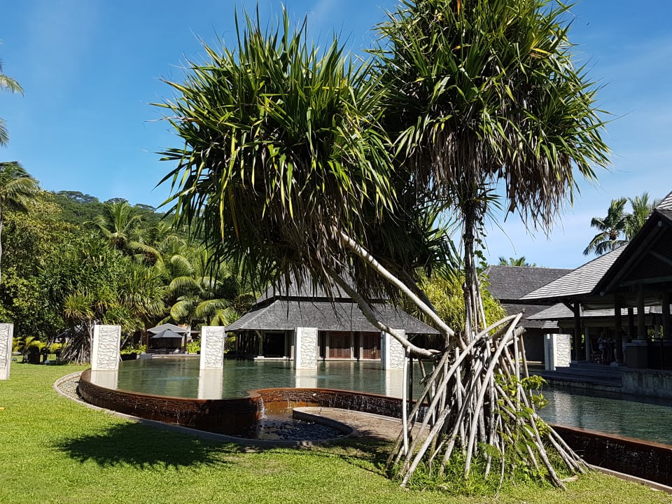 Gartenanlage Constance Ephelia