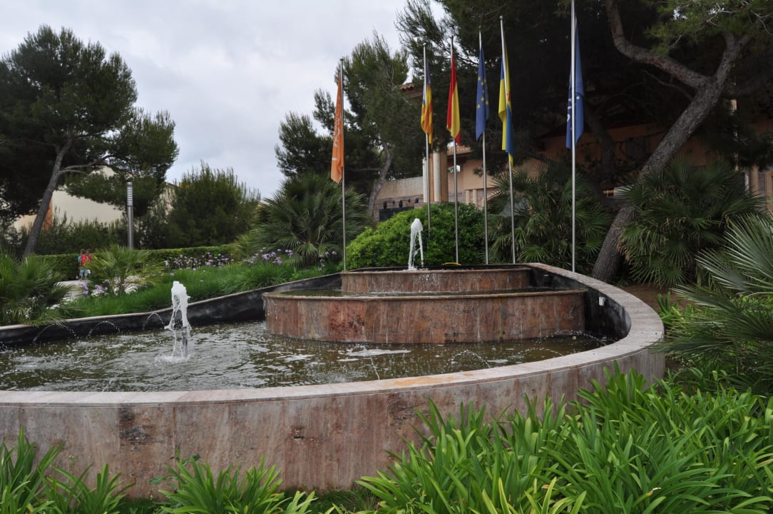 Auffahrt Zafiro Mallorca