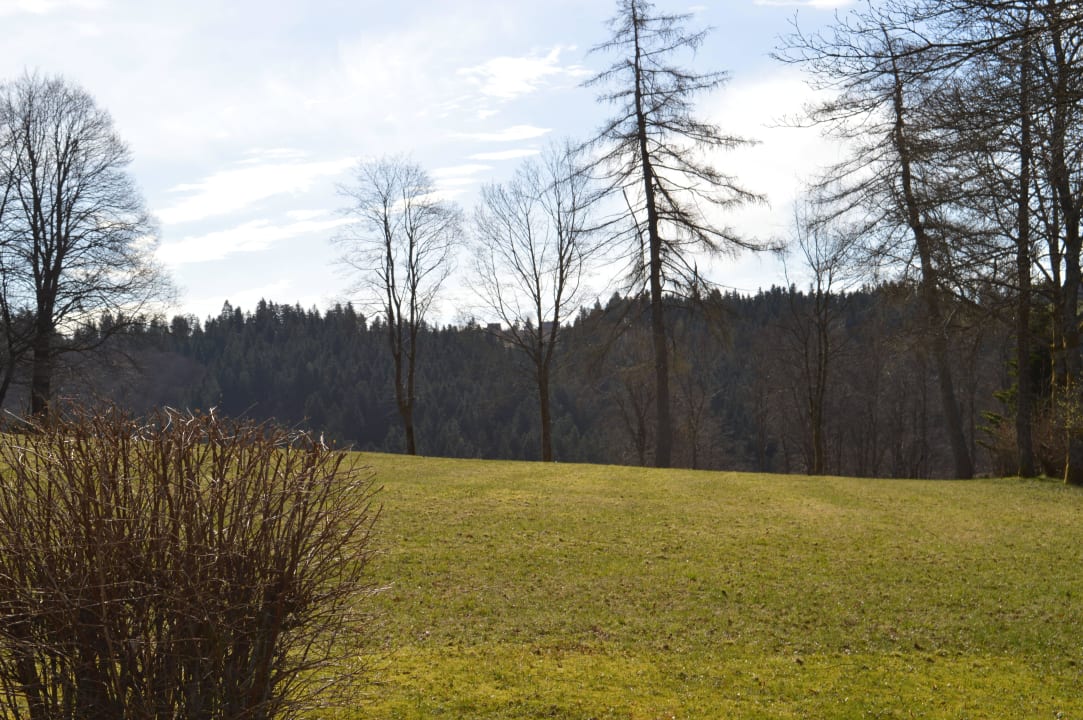 Ausblick in die Natur Berghotel Hoher Knochen