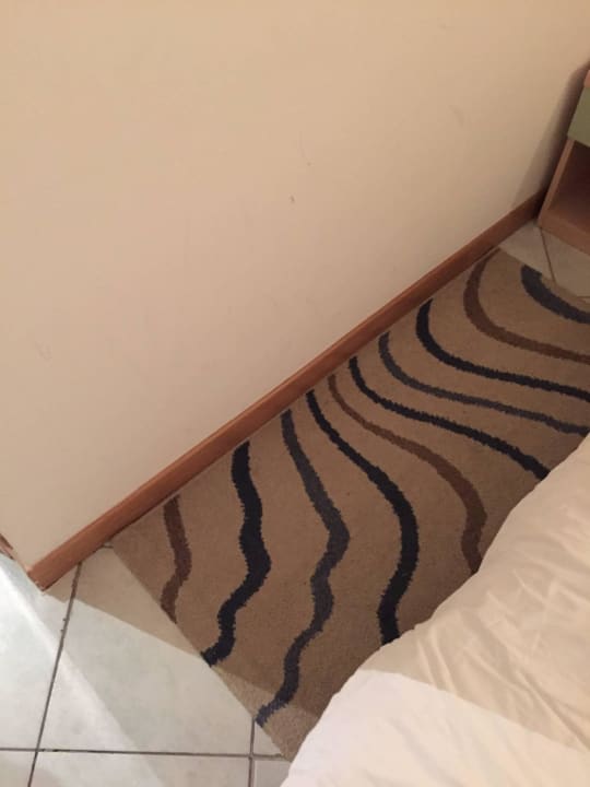 Verschmutzte Wände und Teppiche  Narcis Hotel