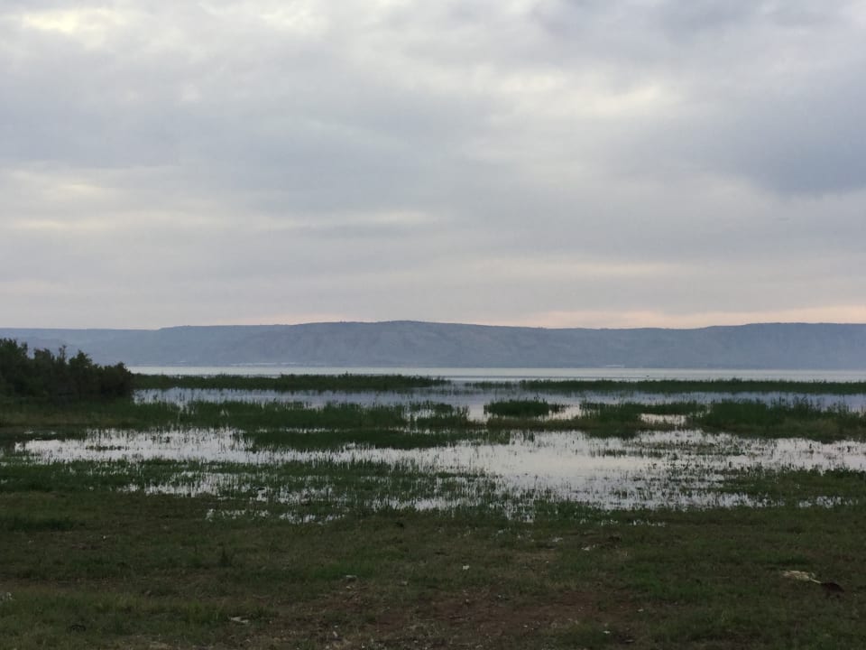 Ausblick The Sea of Galilee Hotel