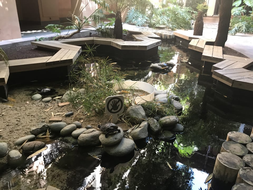 Gartenanlage Lopesan Baobab Resort