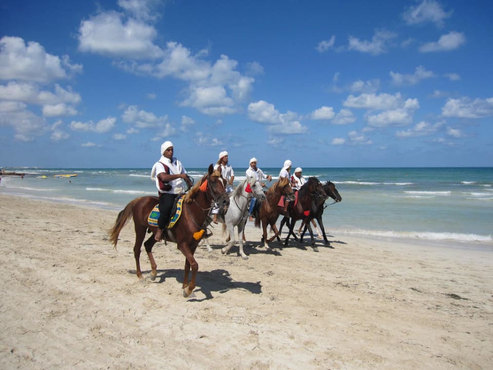 Reitshow immer Donnerstags 11.30 Uhr Calimera Yati Beach