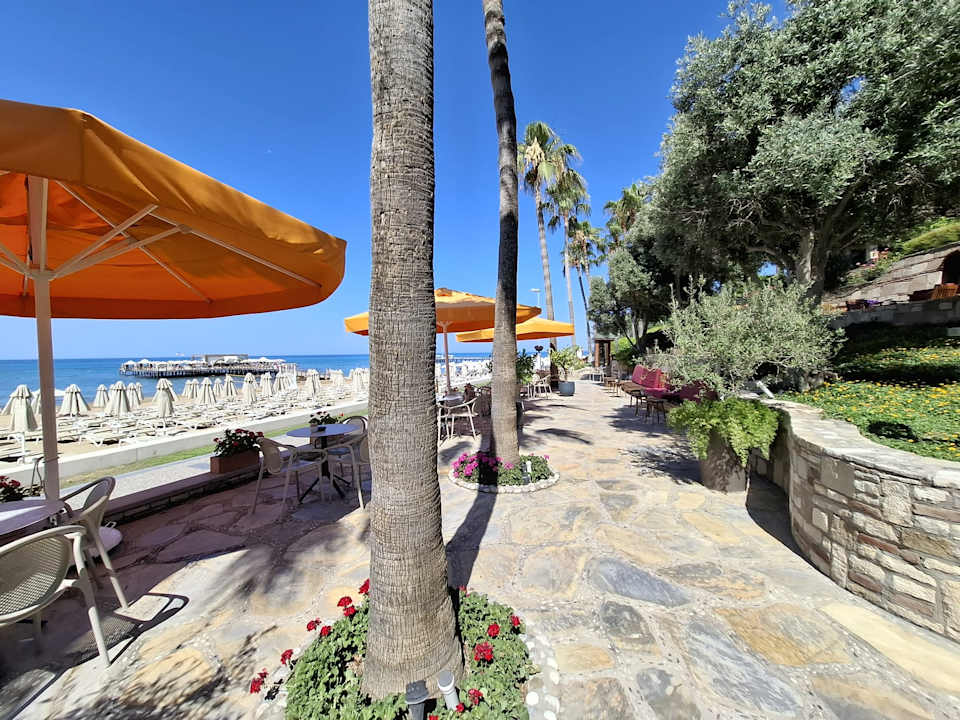 Strand Arum Barut Collection