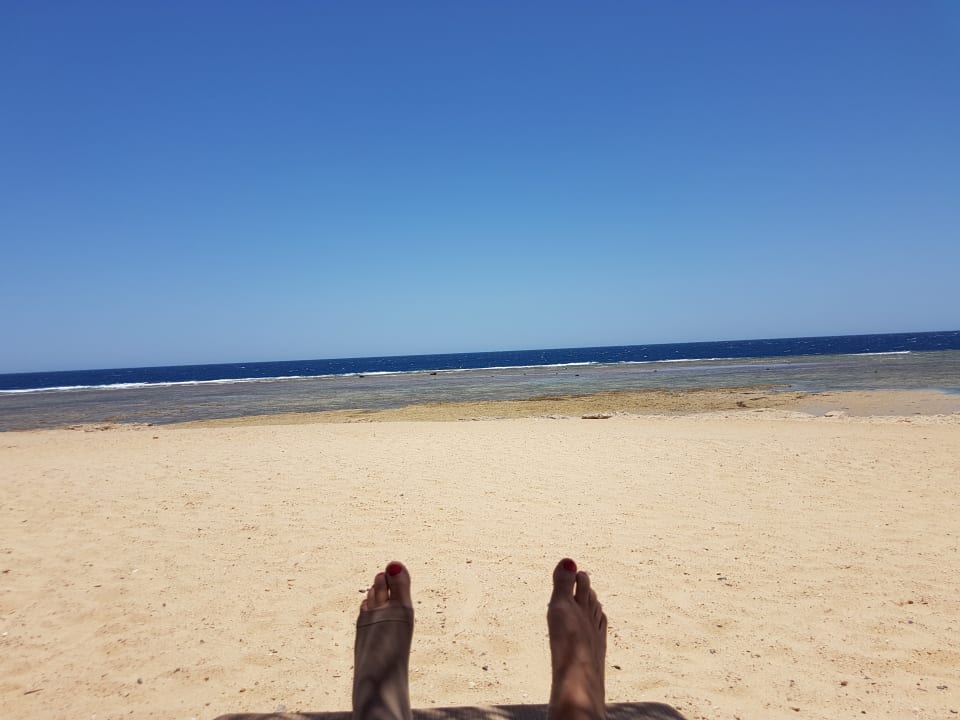 Strand Pickalbatros Palace Hotel-Port Ghalib