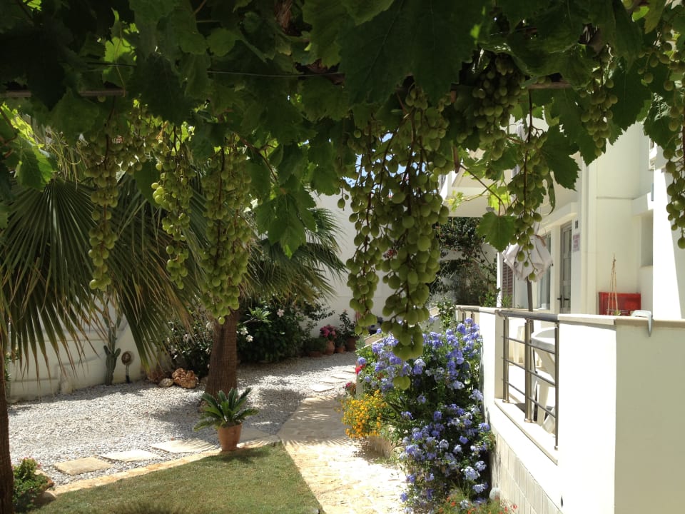 Außenansicht Lion-Suites Kalyves