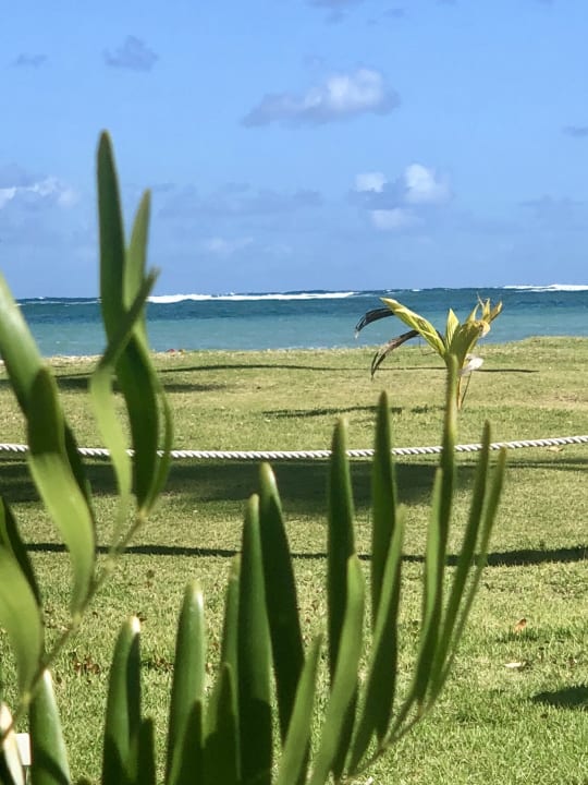 Gartenanlage Wyndham Alltra Samana