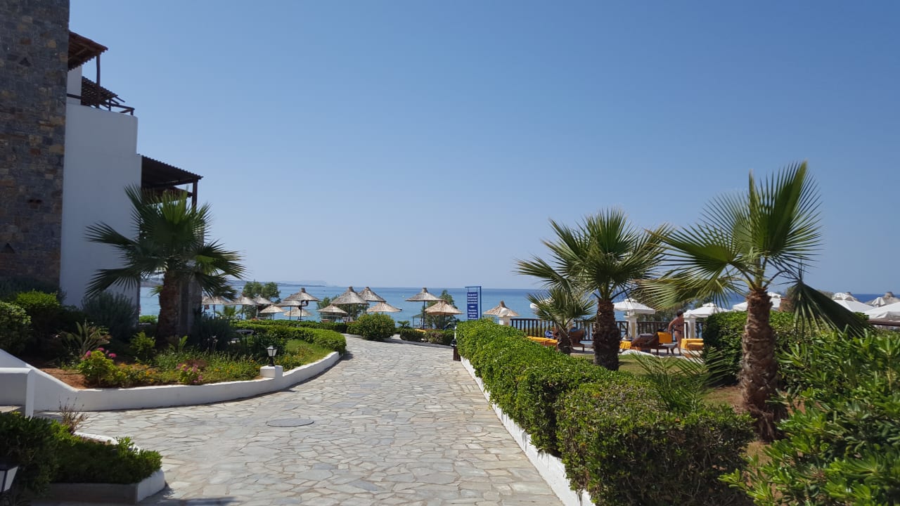 Ausblick Alexander Beach Hotel & Village Resort