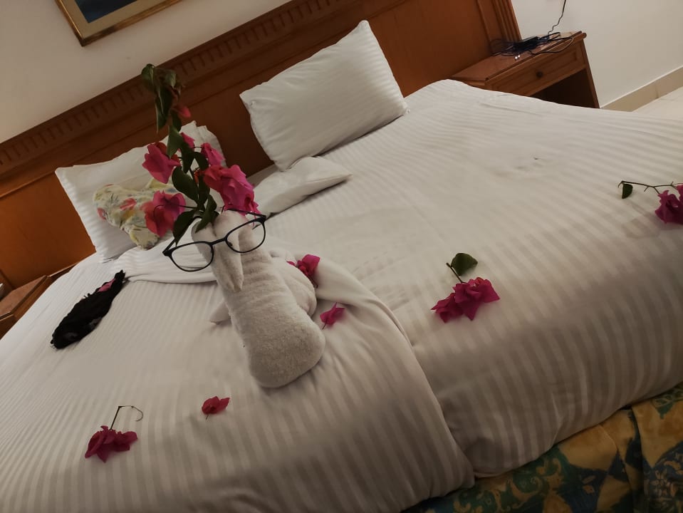 Zimmer MG Alexander The Great Hotel