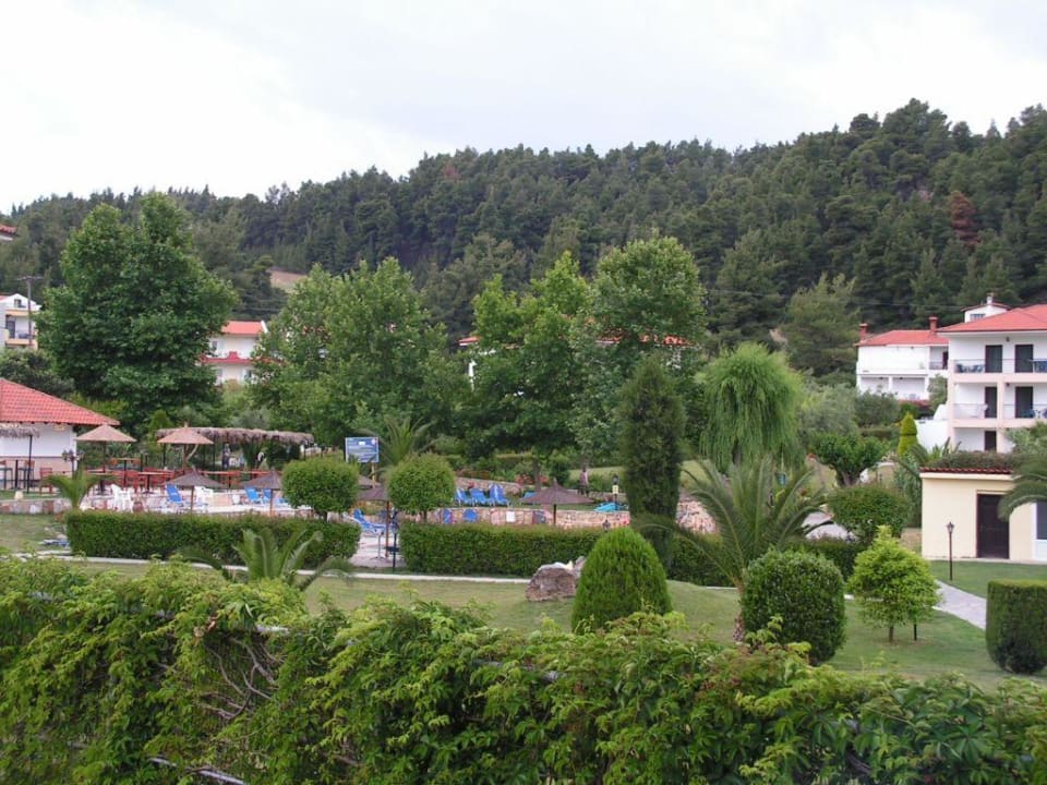 Gartenanlage mit umgebenden Pinienwald Hotel Chrousso Village