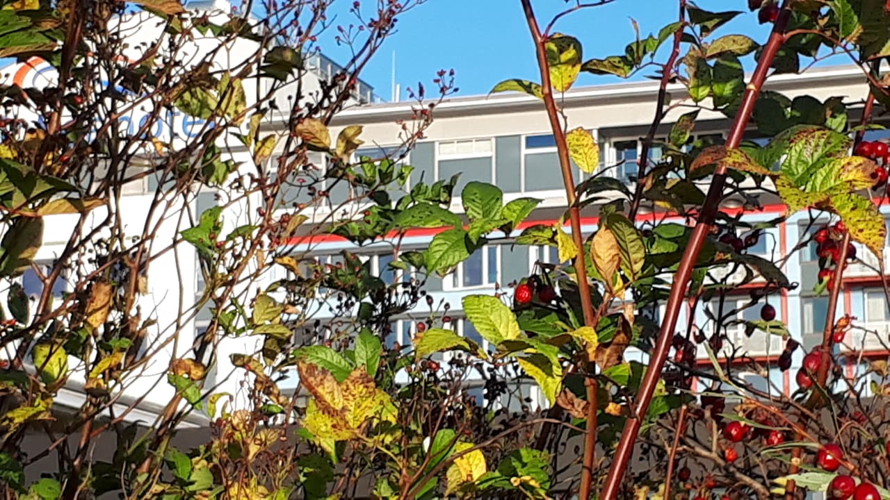 Außenansicht Bio-Seehotel Zeulenroda