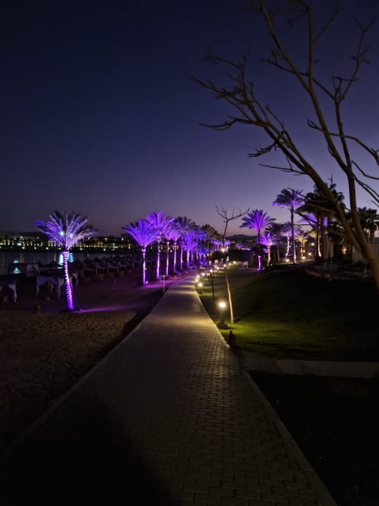 Gartenanlage Steigenberger Coraya Beach - Adults only