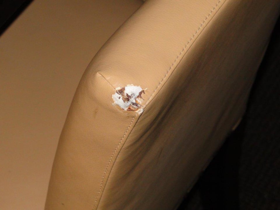 Angeknabberter Stuhl Hotel Le Méridien New Orleans