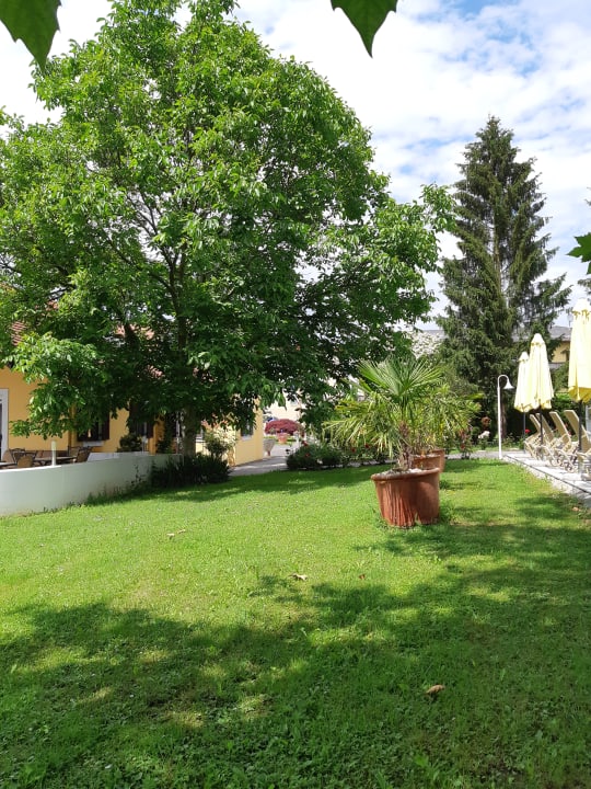 Gartenanlage Hotel Gasthof Scheer