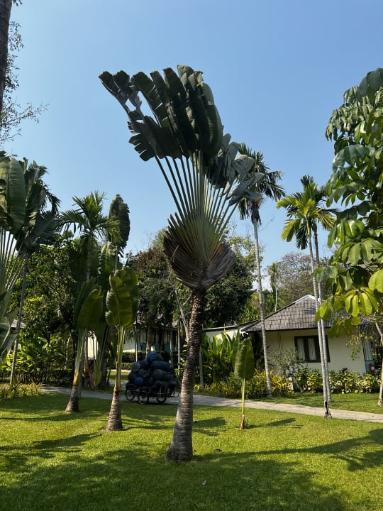 Außenansicht Sai Kaew Beach Resort