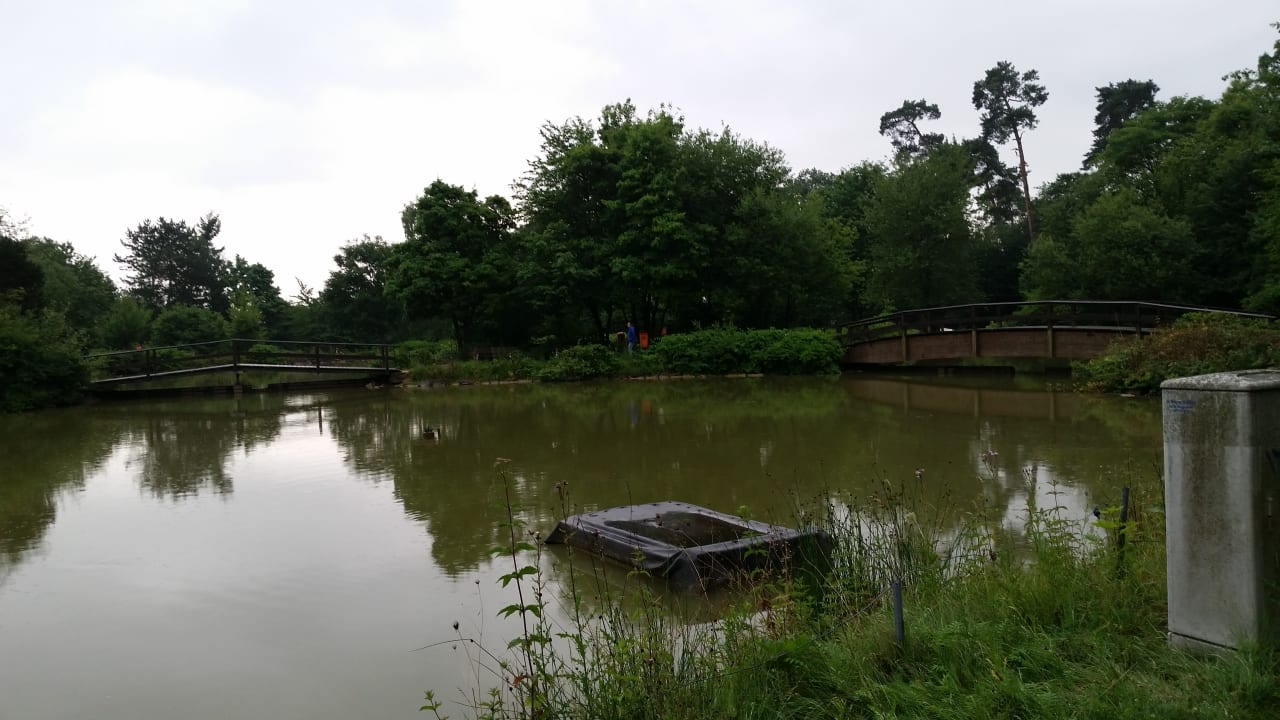 Gartenanlage Wyndham Garden Lahnstein Koblenz Hotel