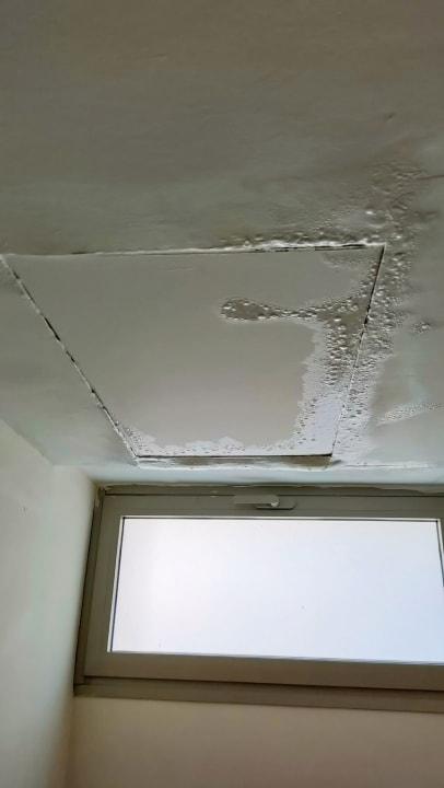 Zimmer Impressive Premium Punta Cana