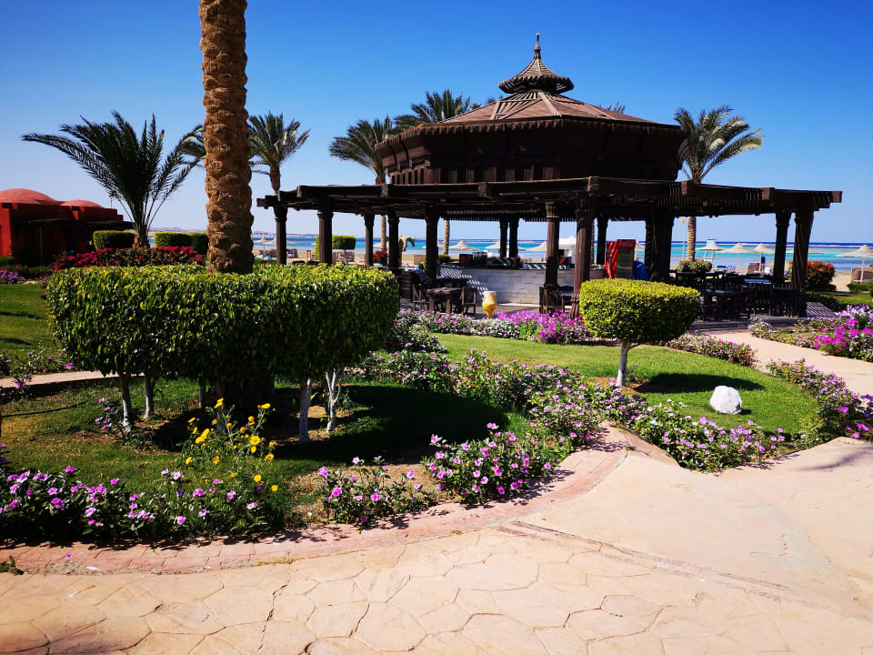 Gastro Swisstouch Oriental Resort Marsa Alam