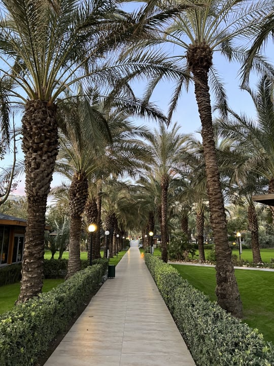 Gartenanlage Royal Wings Hotel