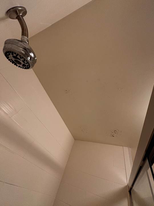 Zimmer Hampton Inn Clarksdale