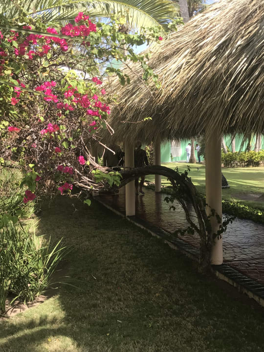 Gartenanlage Hotel Grand Palladium Palace Resort, Spa & Casino