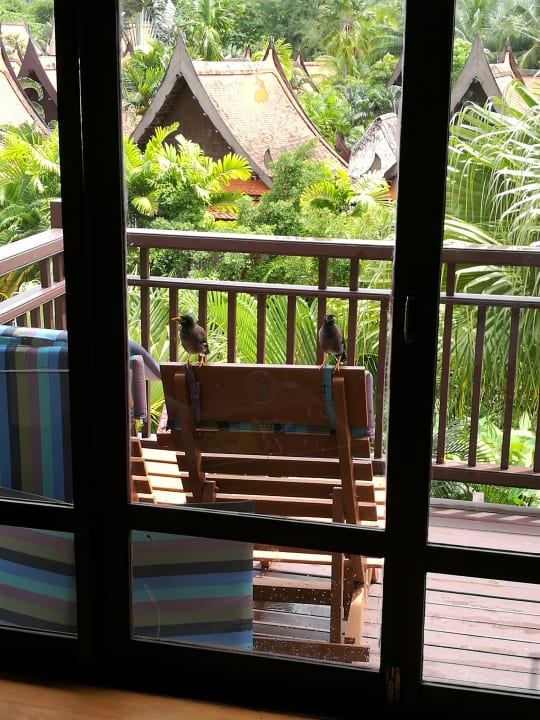 Ausblick Khaolak Bhandari Resort & Spa