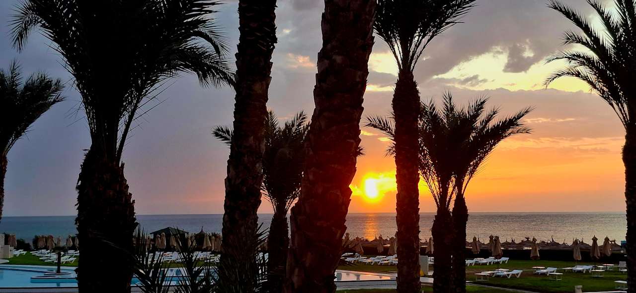 Ausblick Iberostar Waves Averroes