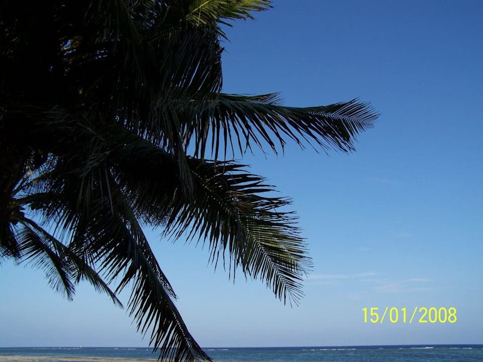 Klasse Kaskazi Beach Resort