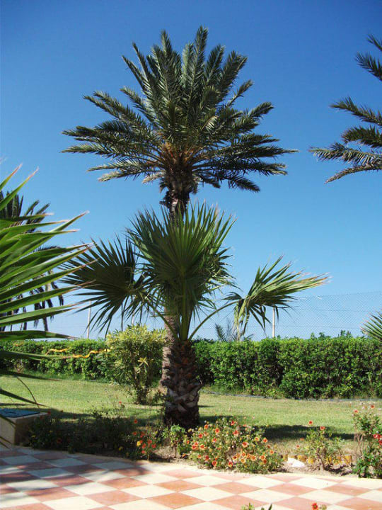 Garten Houda Golf & Beach Club