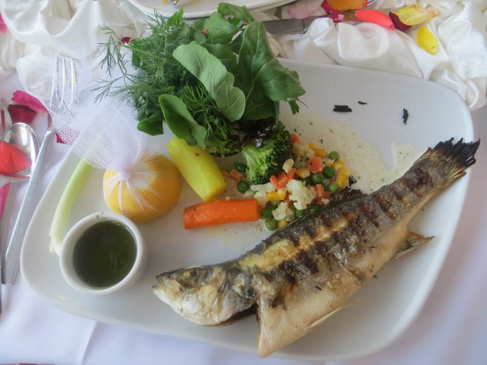 Fischrestaurant Hotel Delphin Imperial