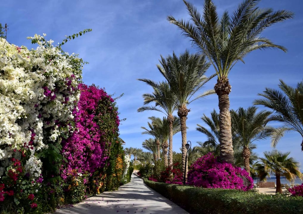 Gartenanlage Brayka Bay Resort