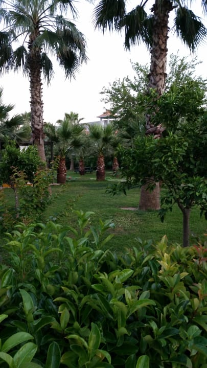 Garten  Hane Family Resort