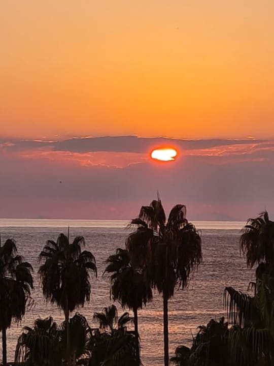Ausblick Hotel Royal Garden Beach