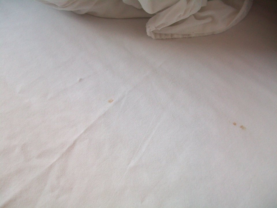 Flecken auf Bett Kevin Business Hotel