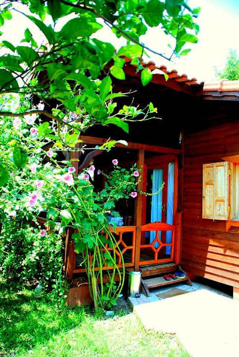 Baraka house  Guesthouse Baraka House