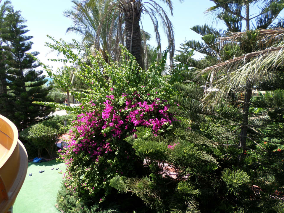 Garten Side Sun Hotel