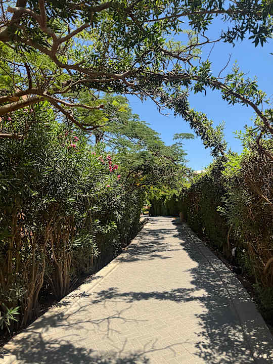 Gartenanlage Jaz Makadi Oasis Resort