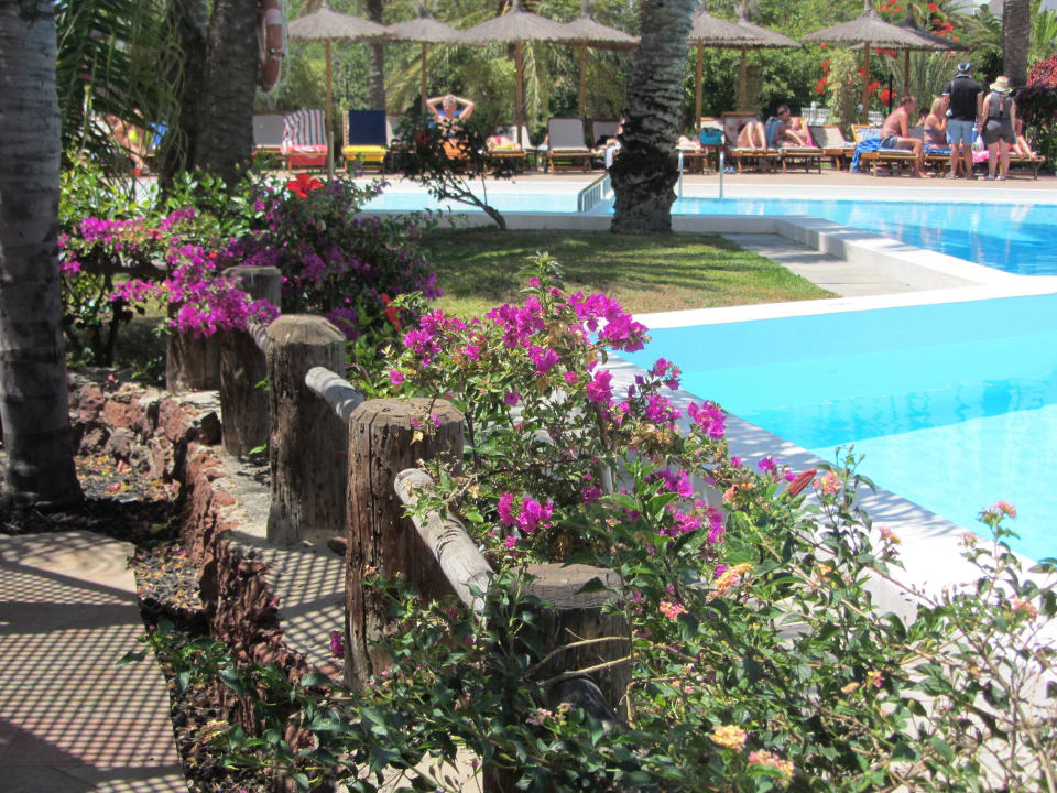 Pool mit Liegen HL Miraflor Suites Hotel