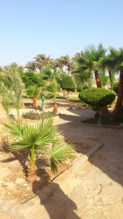 Gartenanlage Pensée Royal Garden Beach Resort