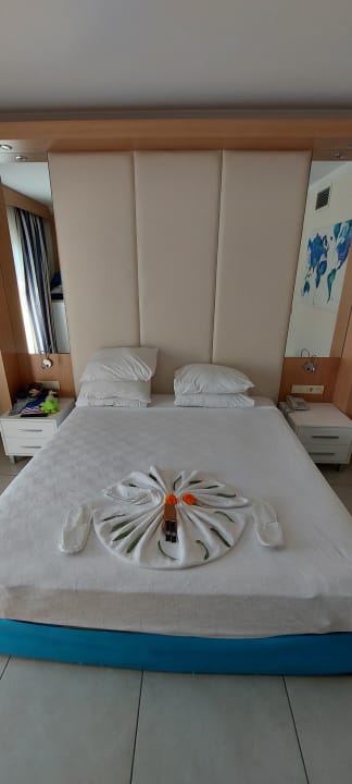 Zimmer AQI Pegasos World